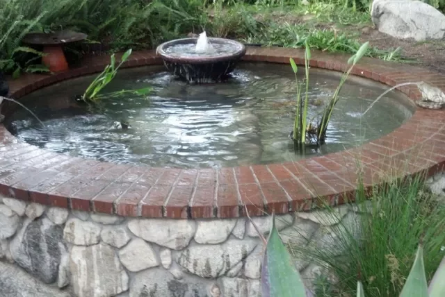 Service accent pool with fountain